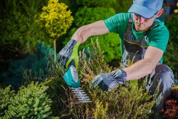 landscaping services Colon